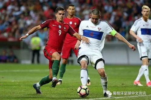 2024欧预赛E组第8轮 捷克VS法罗群岛,欧预赛E组优势明显”