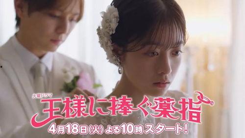 献给国王的无名指,献给国王的忠诚颂歌