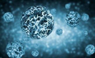 病毒2016,回顾那场全球公共卫生危机