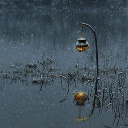 静默帖子,探寻沉默中的情感与思考