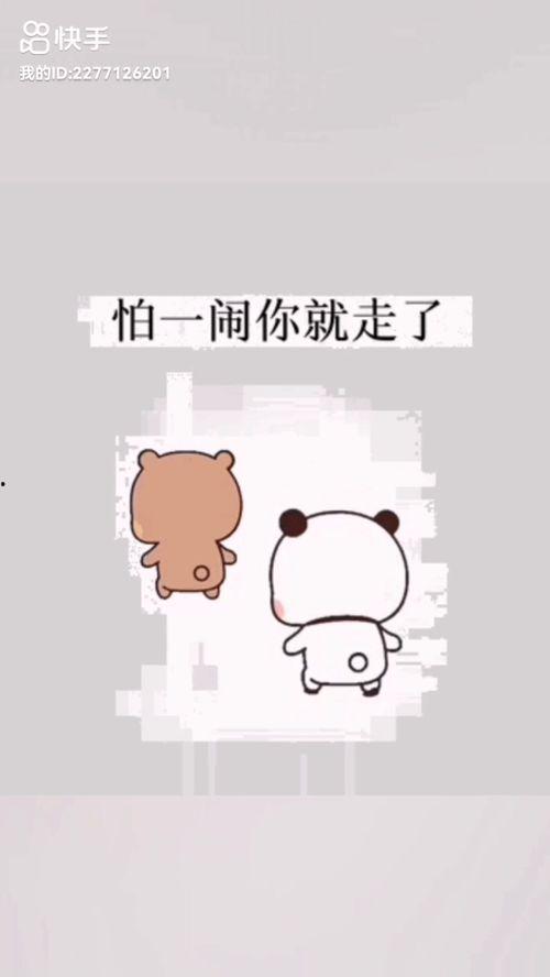 你能理解吗,理解与适应的智慧之旅